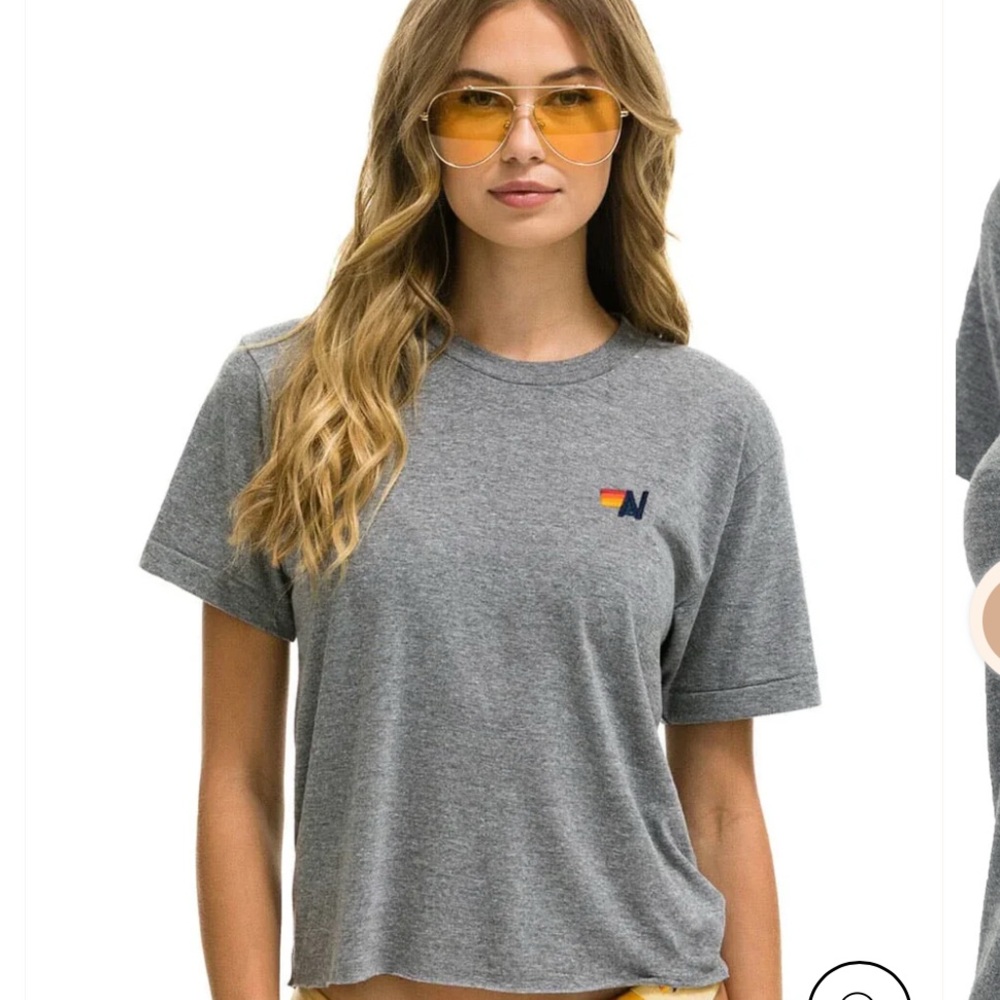 Aviator Nation gray cropped tee